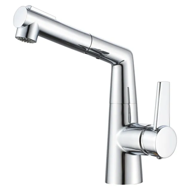 Black & Chrome Pull Out Bathroom Tap