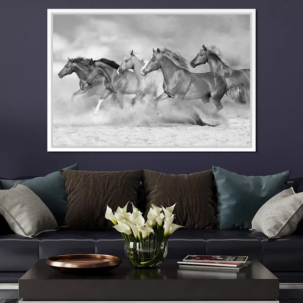 Black & White Horses Herd