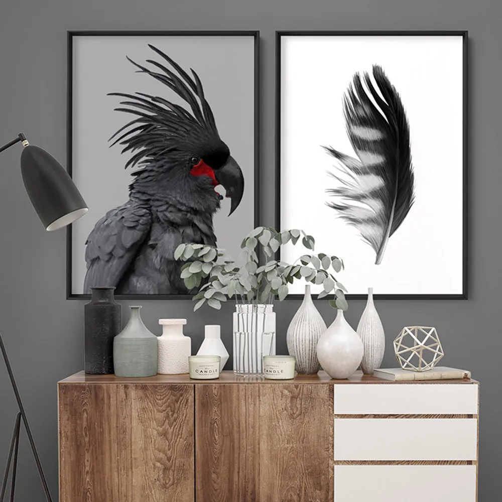 Black Palm Cockatoo - Art Print