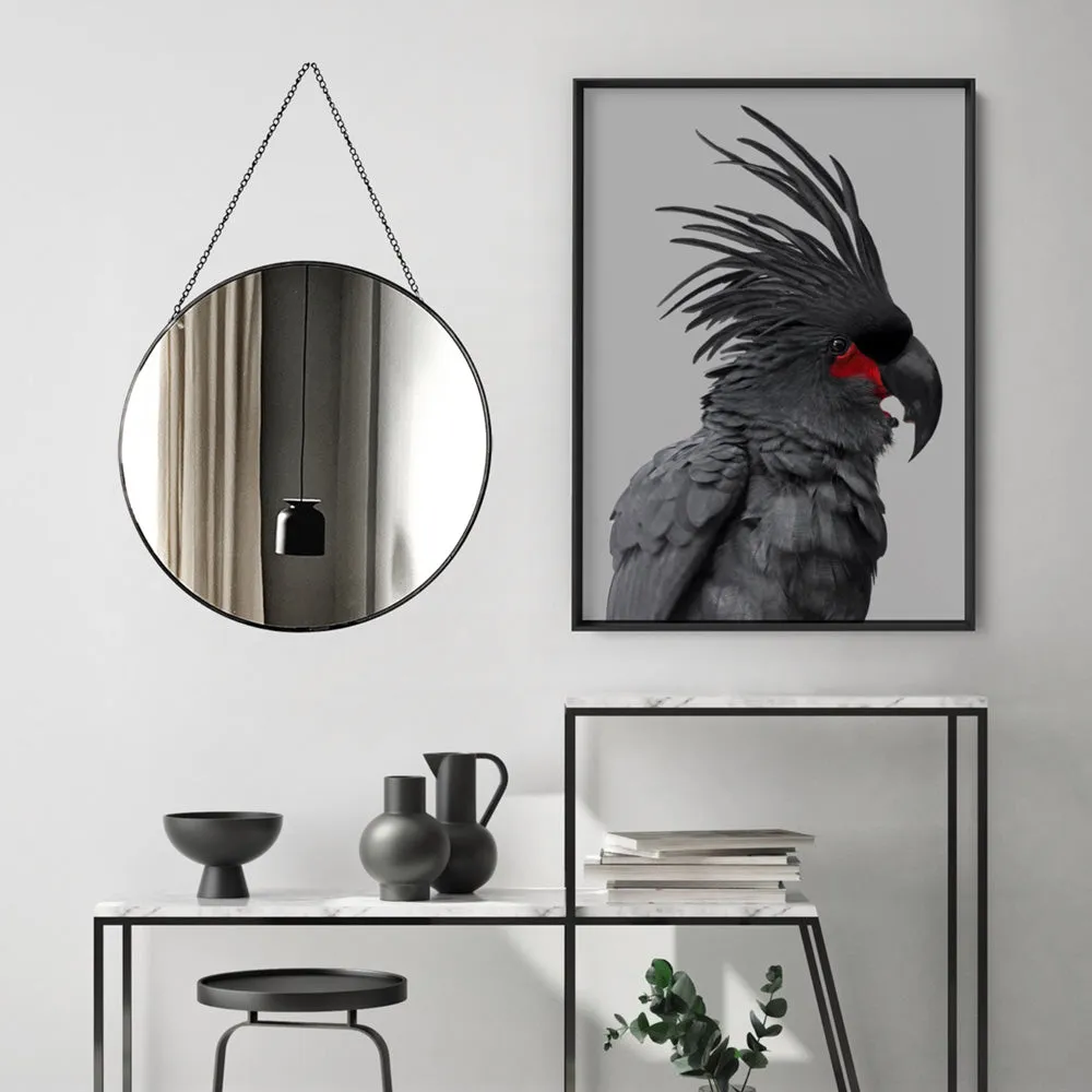 Black Palm Cockatoo - Art Print