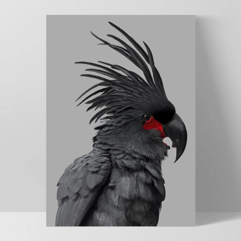 Black Palm Cockatoo - Art Print