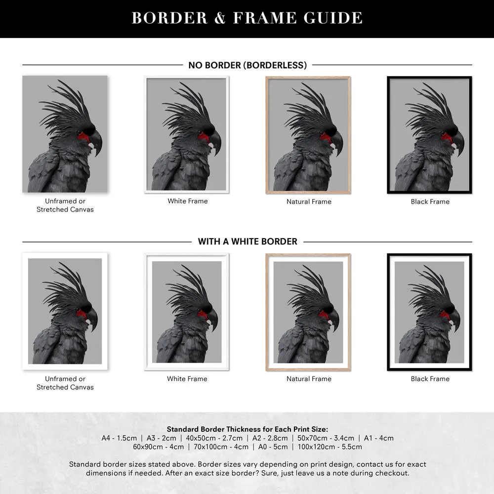 Black Palm Cockatoo - Art Print
