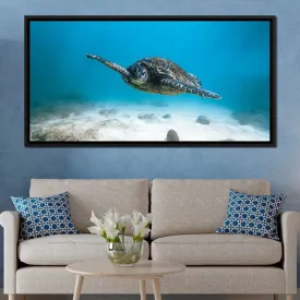 Blue Turtle - Lucas Moore