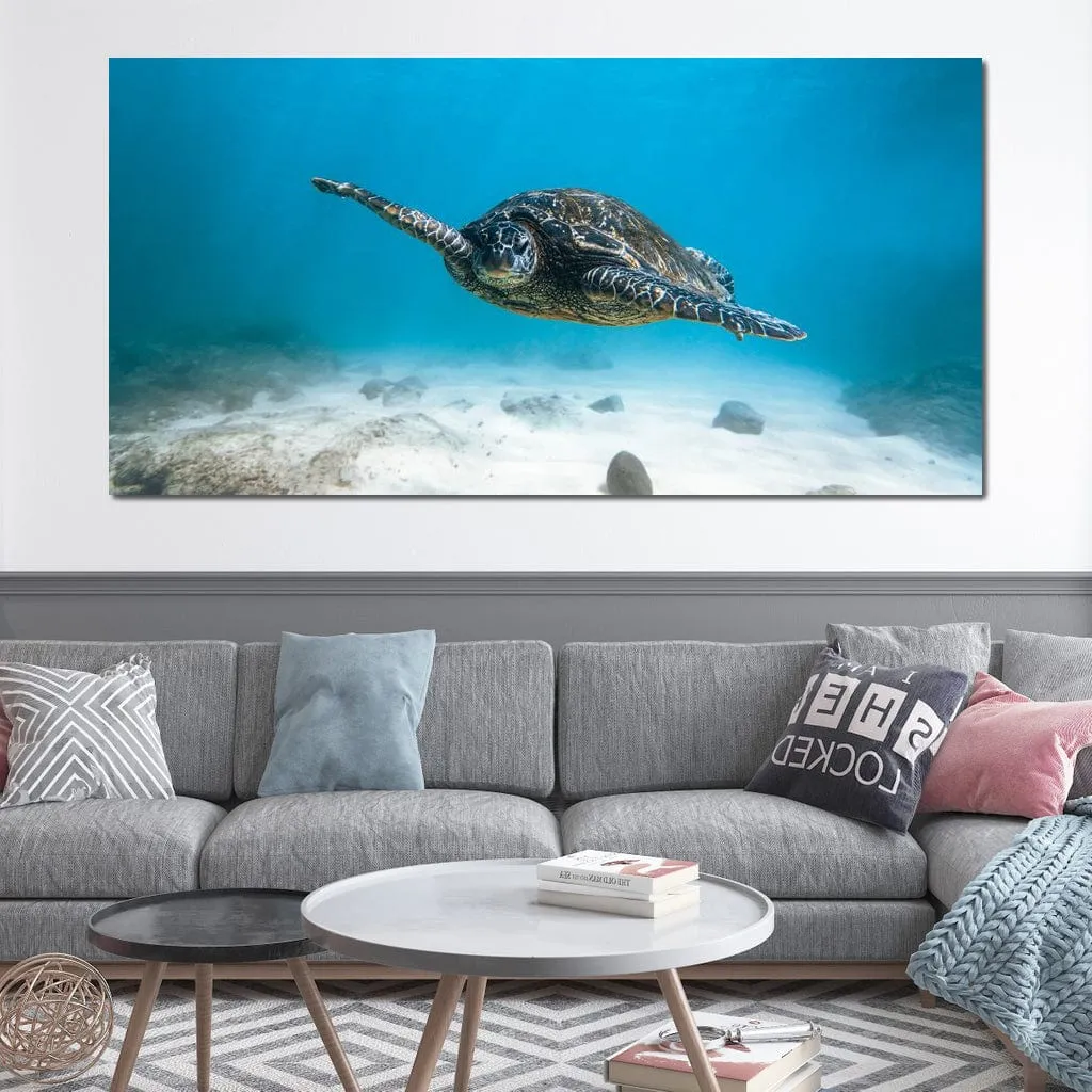 Blue Turtle - Lucas Moore