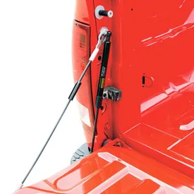 Dee Zee 19- Dodge Ram Tailgate Assist