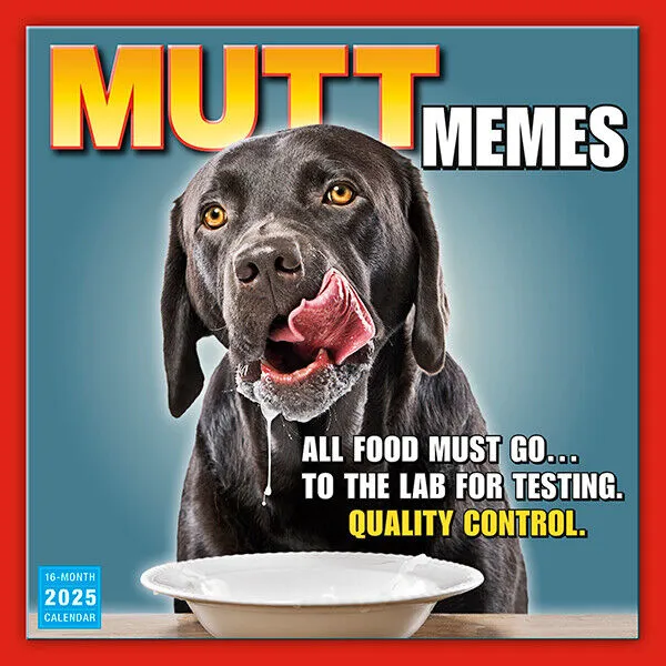 Sellers Publishing Mutt Memes 2025 12 x 12 Wall Calendar