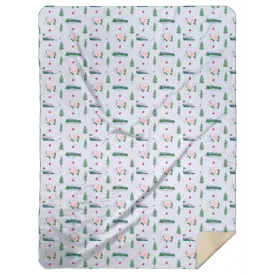 Washington State Plush Throw Blanket 60x80