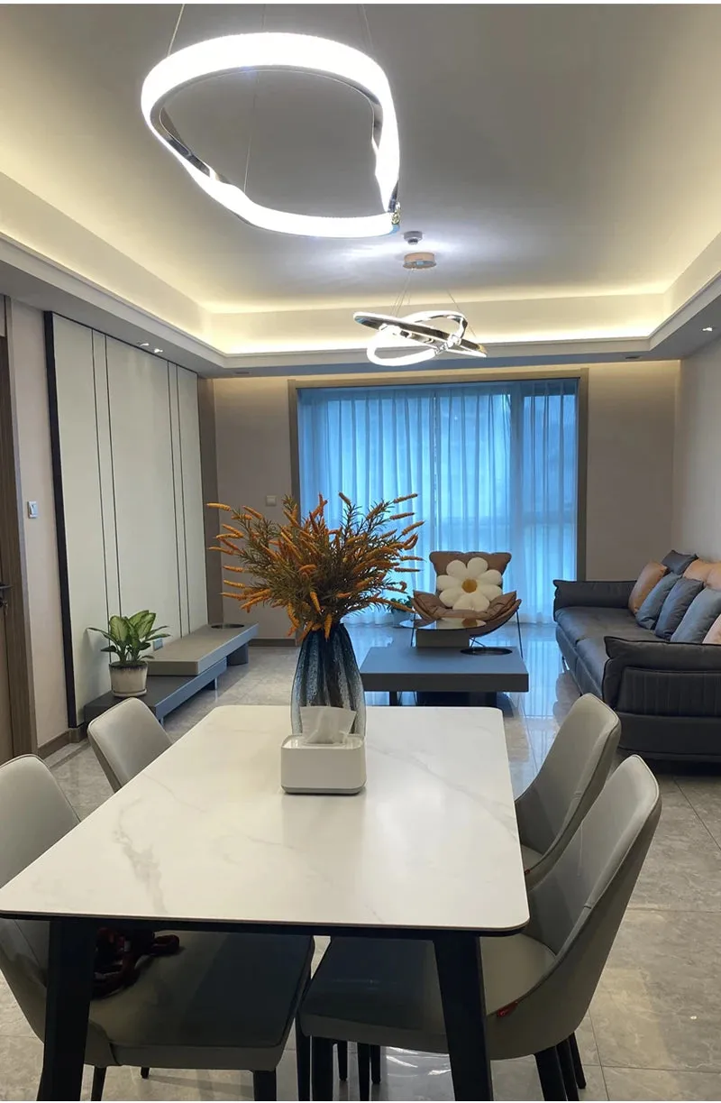 YLK Oval Creative design modern LED chandelier